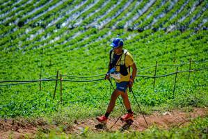 BIB: 1647
                            <button type="button" onclick="openModal(19164709)" class="btn btn-primary btn-sm float-right btn-popup" data-toggle="modal" data-target=".modal-high-quality">
                        <i class="fas fa-shopping-cart"></i> Add to Cart
                    </button>
                                            <button type="button" onclick="isThisMe(19164709, true)" class="btn btn-success btn-sm float-right btn-popup btn-isme hidden" data-toggle="tooltip" data-placement="bottom" title="นี่คือรูปของคุณใช่ไหม คลิกที่นี่เพื่อเอาเข้าอัลบั้ม">
                        <i class="fas fa-plus"></i> Add to album
                    </button>
                    <button type="button" onclick="isThisMe(19164709, false)" class="btn btn-warning btn-sm float-right btn-popup btn-isnotme hidden">
                        <i class="fas fa-ban"></i> Remove from album
                    </button>